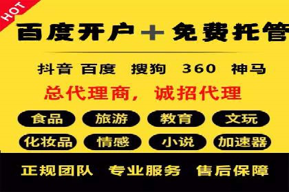 成功SEM服务案例分析报告