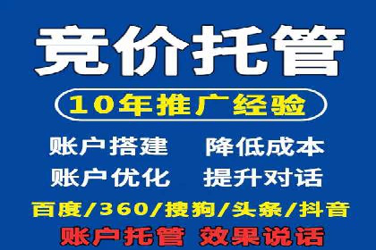 SEM广告投放的创意与执行：成功案例剖析